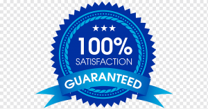 Service customer service 100 guaranteed e1604131219897 PINGCOURSE - The Best Discounted Courses Market