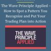 Elliottwave – The Wave Principle Applied – How to Spot a Pattern You Recognize and Put Your Trading Plan into Action PINGCOURSE - The Best Discounted Courses Market