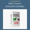 Proficientfx – Basic Course ONLINE COURSE. PINGCOURSE - The Best Discounted Courses Market