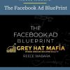 Reece Wabara – The Facebook Ad BluePrint PINGCOURSE - The Best Discounted Courses Market