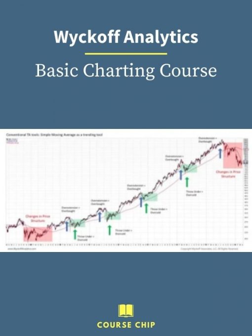 Wyckoff Analytics – Basic Charting Course PINGCOURSE - The Best Discounted Courses Market