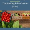Drew Scott Pearfman – The Healing Effect Movie 2014 1 PINGCOURSE - The Best Discounted Courses Market