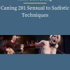 Kink University – Caning 201 Sensual to Sadistic Techniques 1 PINGCOURSE - The Best Discounted Courses Market